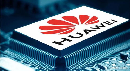 段永平 改正错误要尽快，多大的代价都是最小的代价